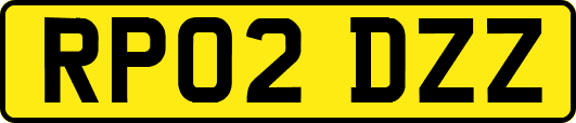 RP02DZZ