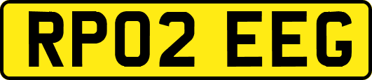 RP02EEG