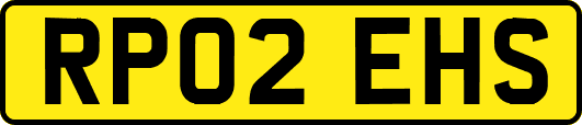 RP02EHS