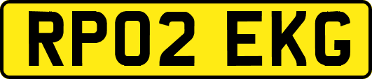 RP02EKG