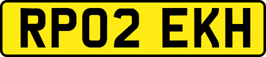 RP02EKH