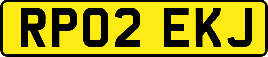 RP02EKJ