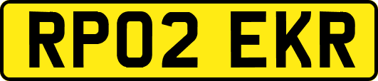RP02EKR