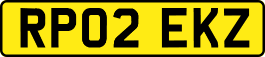 RP02EKZ
