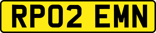 RP02EMN
