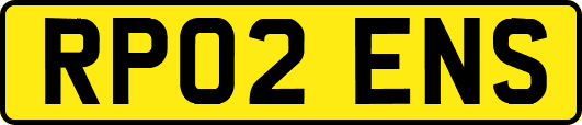 RP02ENS