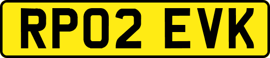 RP02EVK