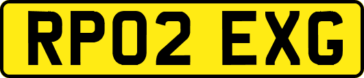 RP02EXG