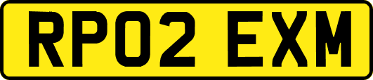 RP02EXM