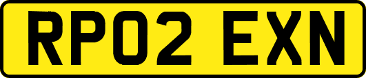 RP02EXN