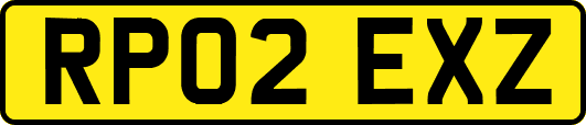 RP02EXZ