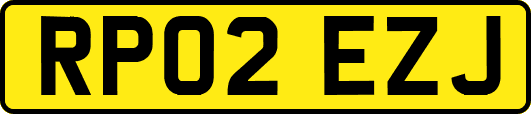 RP02EZJ
