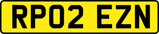 RP02EZN