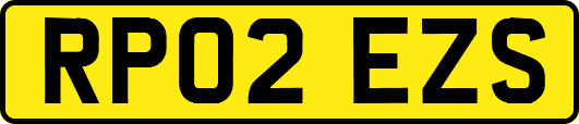 RP02EZS
