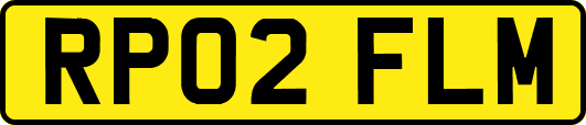 RP02FLM