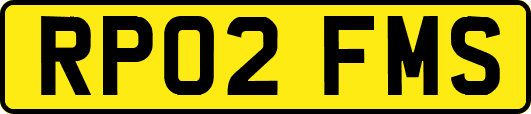 RP02FMS