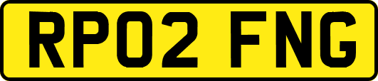 RP02FNG