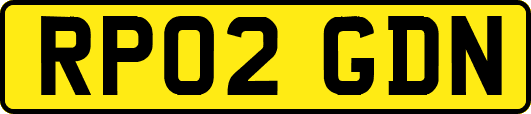 RP02GDN