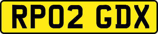 RP02GDX