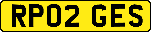 RP02GES