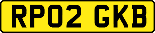RP02GKB