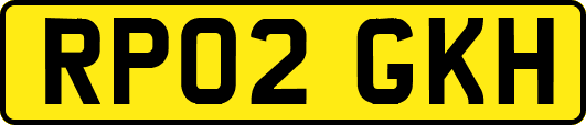 RP02GKH