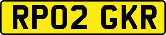 RP02GKR