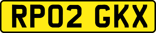 RP02GKX