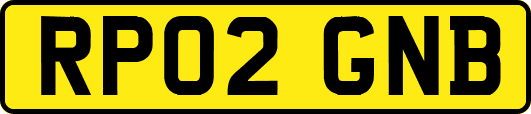 RP02GNB