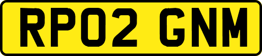 RP02GNM