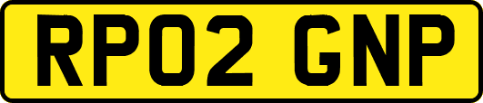 RP02GNP
