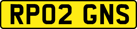 RP02GNS