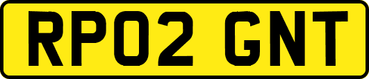 RP02GNT