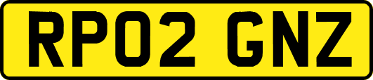 RP02GNZ