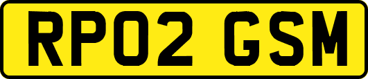 RP02GSM