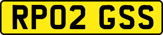 RP02GSS