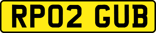 RP02GUB