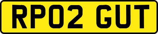 RP02GUT
