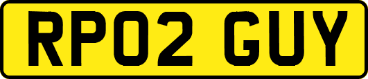 RP02GUY