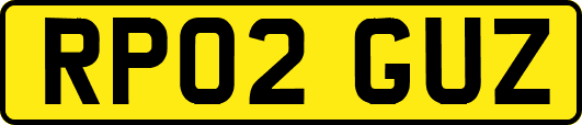 RP02GUZ