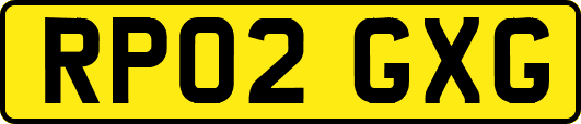 RP02GXG