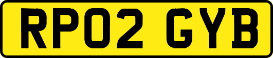 RP02GYB