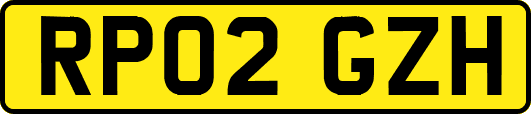 RP02GZH