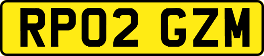 RP02GZM