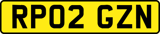 RP02GZN