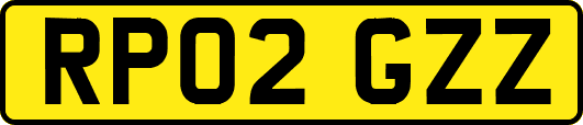 RP02GZZ
