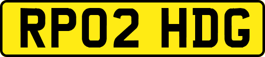 RP02HDG