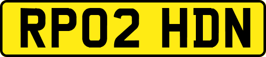 RP02HDN