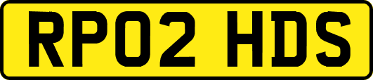 RP02HDS