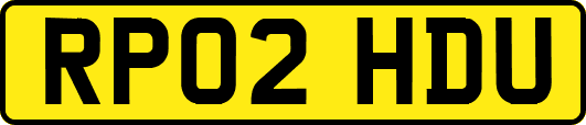 RP02HDU